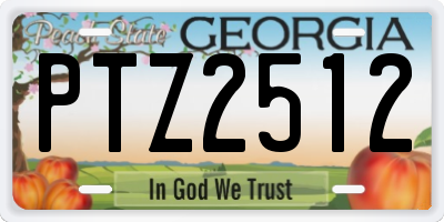 GA license plate PTZ2512