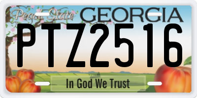 GA license plate PTZ2516