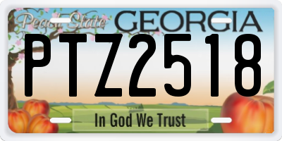 GA license plate PTZ2518