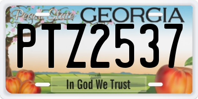 GA license plate PTZ2537