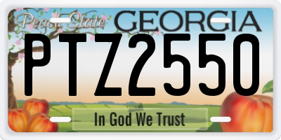 GA license plate PTZ2550