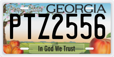 GA license plate PTZ2556