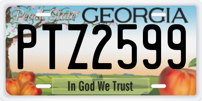 GA license plate PTZ2599