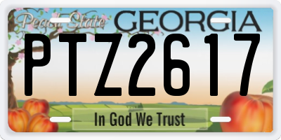GA license plate PTZ2617