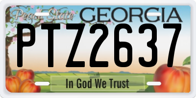 GA license plate PTZ2637