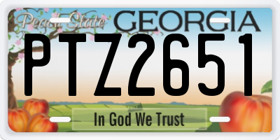 GA license plate PTZ2651