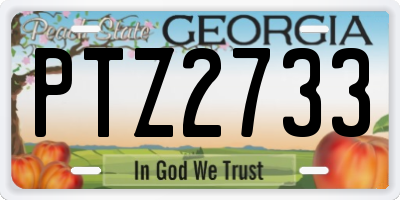 GA license plate PTZ2733