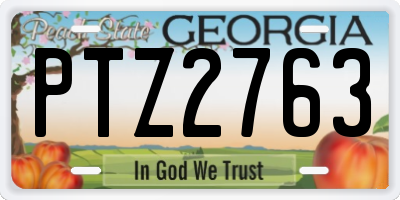 GA license plate PTZ2763