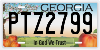 GA license plate PTZ2799