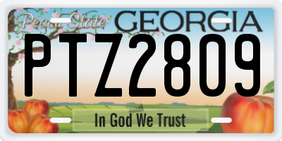 GA license plate PTZ2809