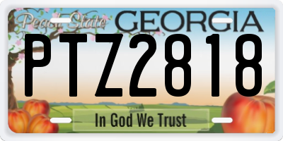 GA license plate PTZ2818