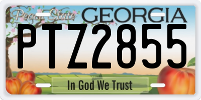 GA license plate PTZ2855