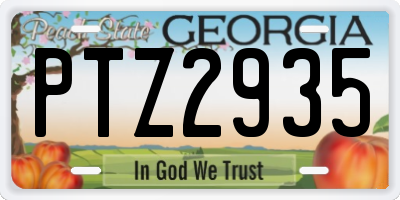 GA license plate PTZ2935