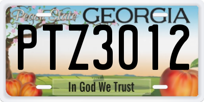 GA license plate PTZ3012