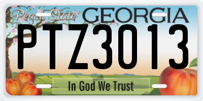 GA license plate PTZ3013