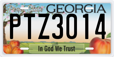 GA license plate PTZ3014