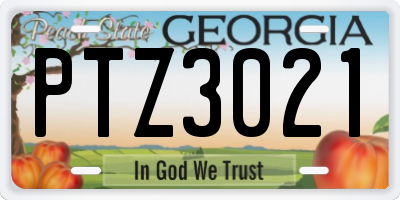GA license plate PTZ3021