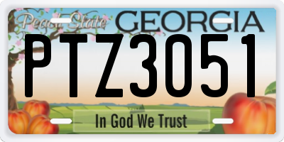 GA license plate PTZ3051