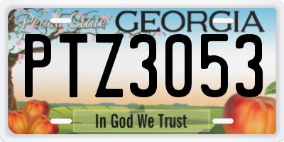 GA license plate PTZ3053