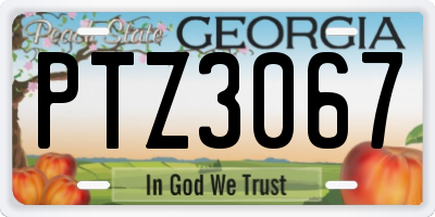GA license plate PTZ3067