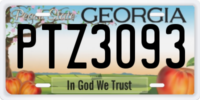 GA license plate PTZ3093