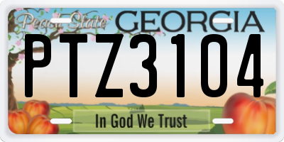 GA license plate PTZ3104