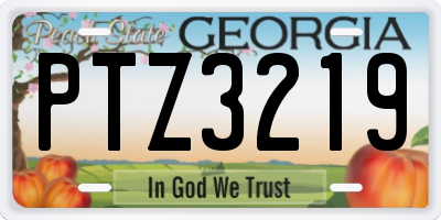 GA license plate PTZ3219