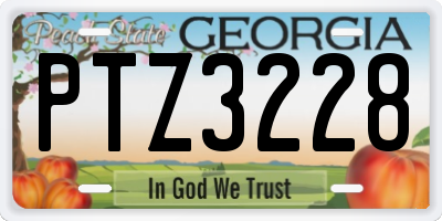 GA license plate PTZ3228