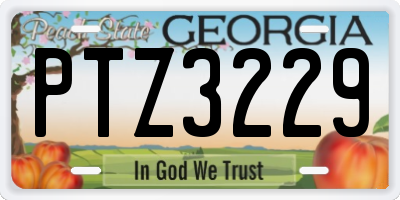 GA license plate PTZ3229