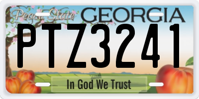 GA license plate PTZ3241