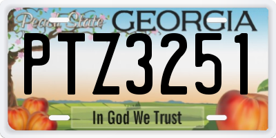 GA license plate PTZ3251