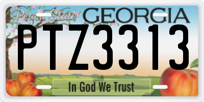 GA license plate PTZ3313