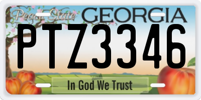 GA license plate PTZ3346