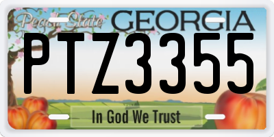 GA license plate PTZ3355