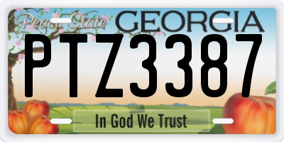 GA license plate PTZ3387