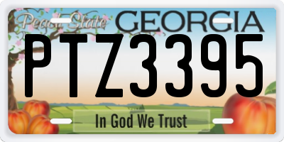GA license plate PTZ3395