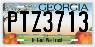GA license plate PTZ3713