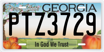 GA license plate PTZ3729