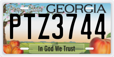 GA license plate PTZ3744