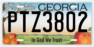 GA license plate PTZ3802
