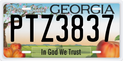 GA license plate PTZ3837