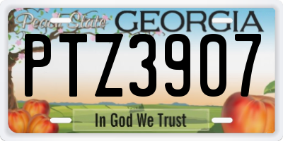 GA license plate PTZ3907