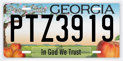 GA license plate PTZ3919