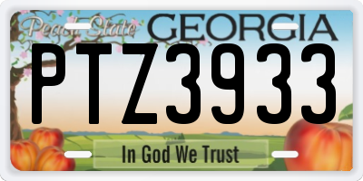 GA license plate PTZ3933