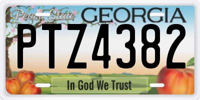 GA license plate PTZ4382