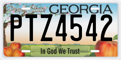 GA license plate PTZ4542