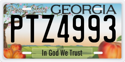 GA license plate PTZ4993