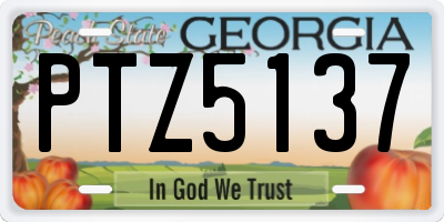 GA license plate PTZ5137