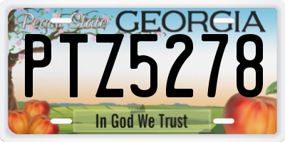 GA license plate PTZ5278