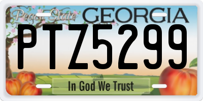 GA license plate PTZ5299